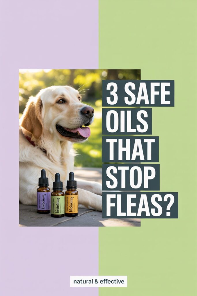 natural flea prevention for dogs